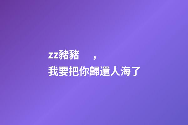zz豬豬，我要把你歸還人海了